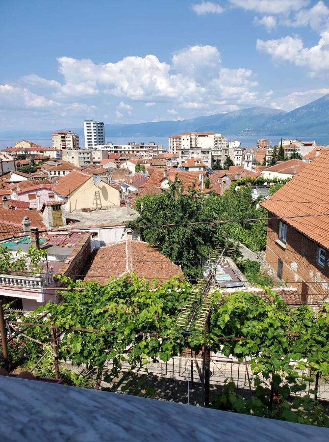 Lake Ohrid Guesthouse "Villa Valentina" ポグラデツ エクステリア 写真