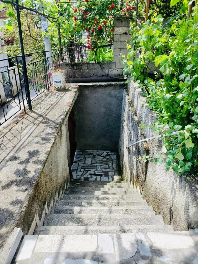 Lake Ohrid Guesthouse "Villa Valentina" ポグラデツ エクステリア 写真
