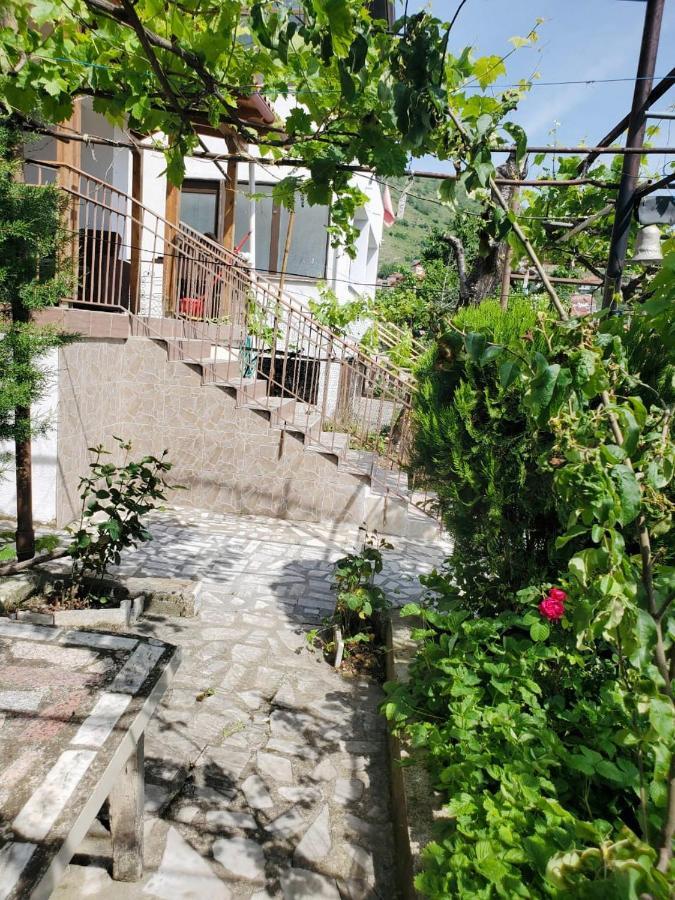 Lake Ohrid Guesthouse "Villa Valentina" ポグラデツ エクステリア 写真