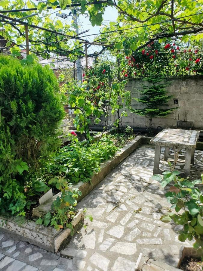 Lake Ohrid Guesthouse "Villa Valentina" ポグラデツ エクステリア 写真